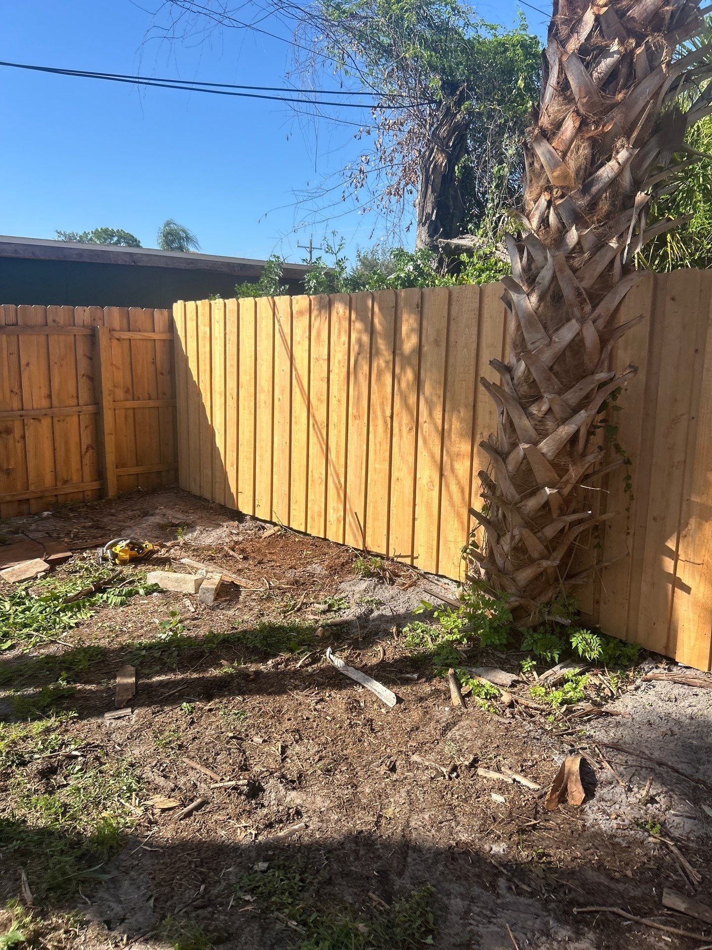 Fresh Wood Privacy Fence in Sarasota