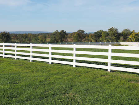 Chain link fence